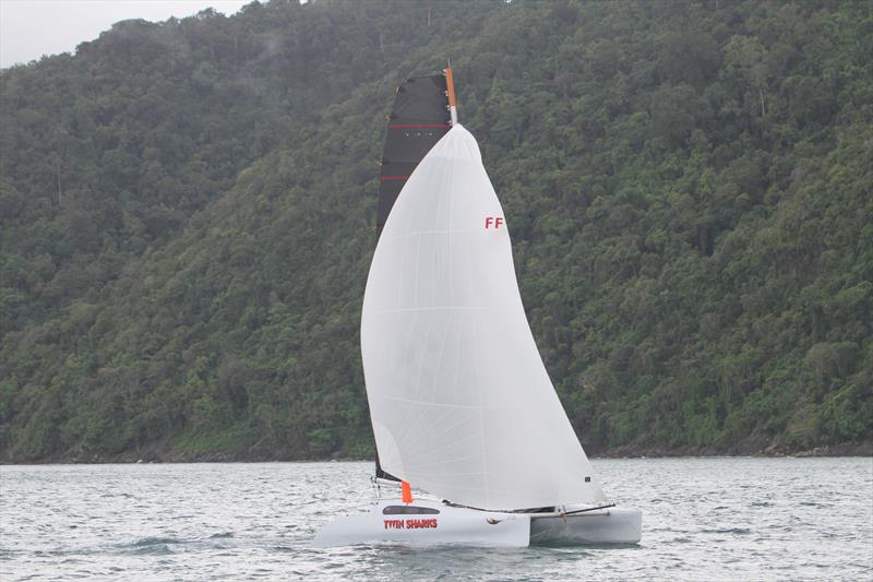 Twin Sharks The Yacht Sales Co Regatta 2024 Day 2 at Phuket, Thailand - photo © Scott Murray