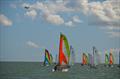 Singlehanded Hobie Wave racecourse action