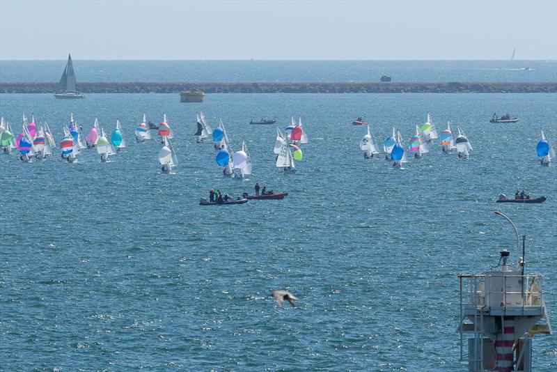 Coach RIBs monitor the fleet - ABP Cadet UK Nationals in Plymouth day 1 - photo © Paul Gibbins Photography